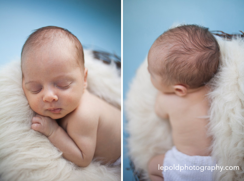 Newborn Photographer NOVA lepold photography 004