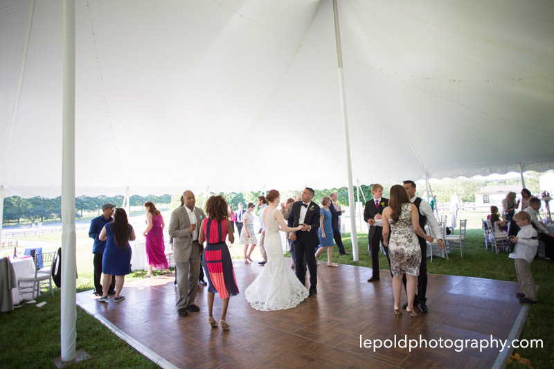067 Horse Farm Wedding VA LepoldPhotography