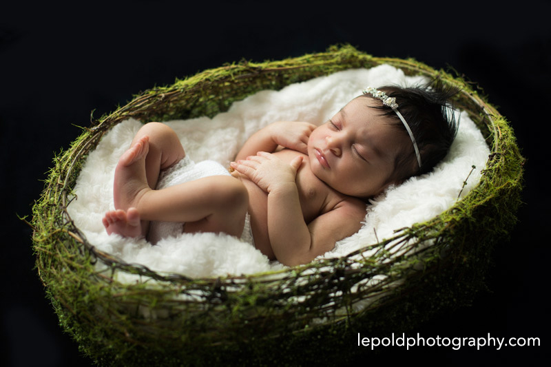012 NOVA Newborn Photographer LepoldPhotography