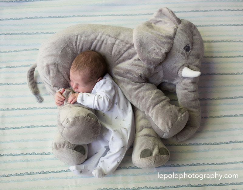 04 Newborn Photographer Fairfax LepoldPhotography