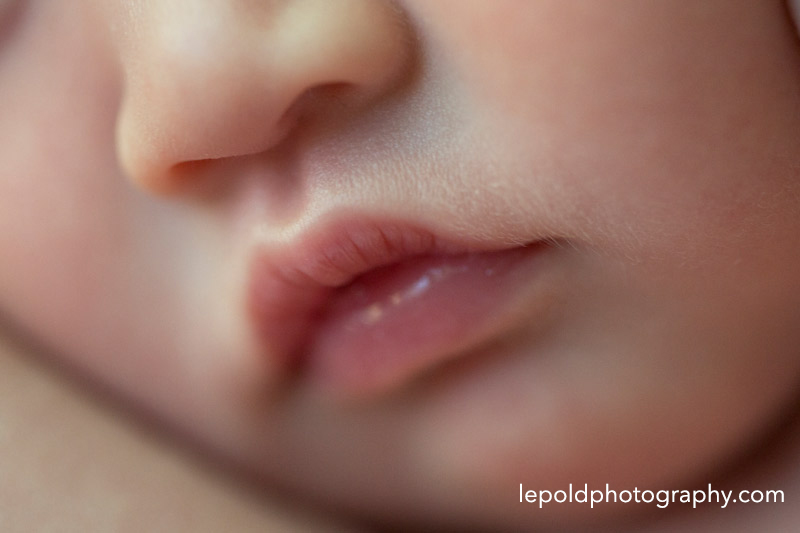11 Newborn Photographer NOVA LepoldPhotography