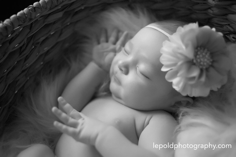 02 Fairfax-Newborn-Photographer Lepold-Photography