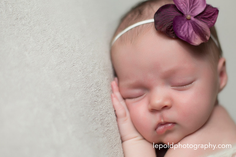 08 Fairfax-Newborn-Photographer Lepold-Photography