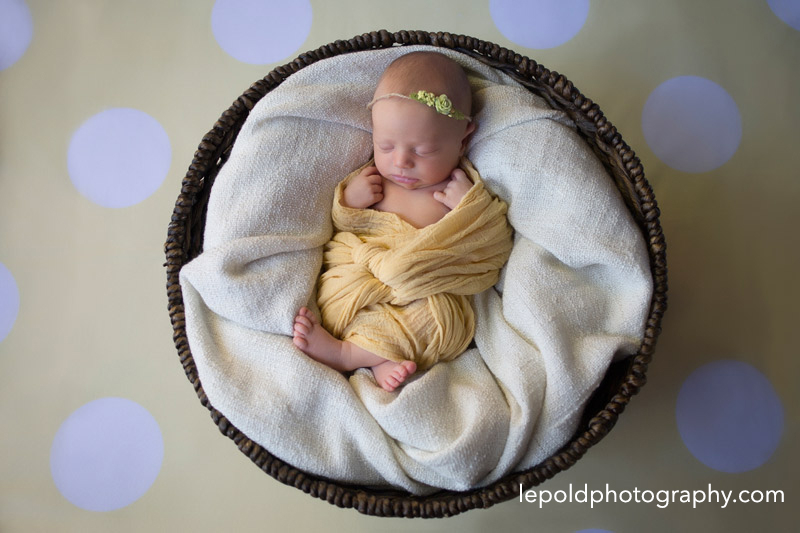 11 Fairfax-Newborn-Photographer Lepold-Photography