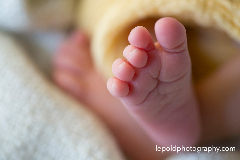 13 Fairfax-Newborn-Photographer Lepold-Photography