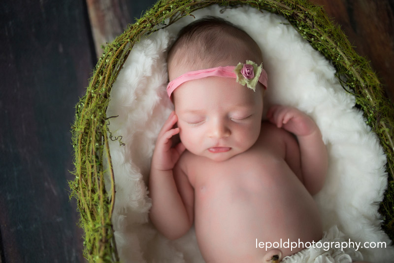 15 Fairfax-Newborn-Photographer Lepold-Photography