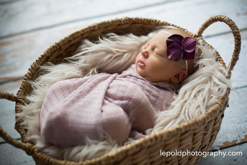 002 NOVA Newborn Photographer Lepold Photography