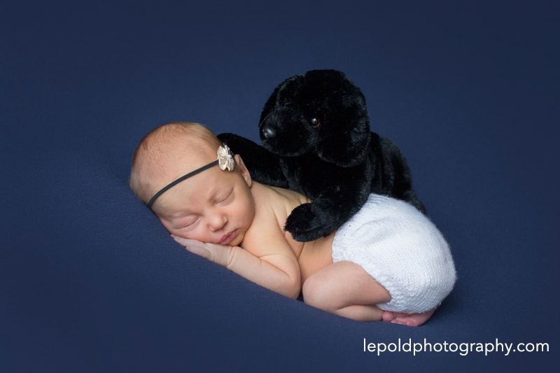 018 NOVA Newborn Photographer Lepold Photography