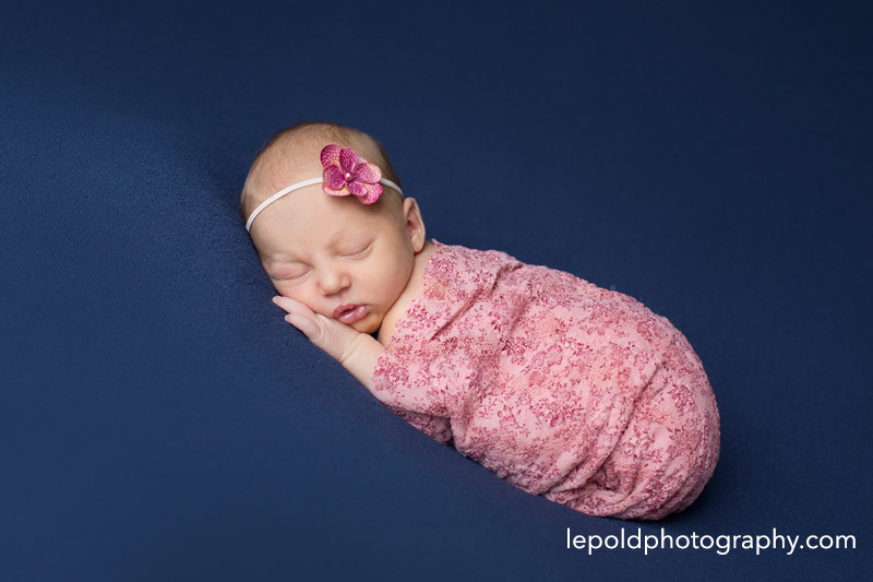020 NOVA Newborn Photographer Lepold Photography