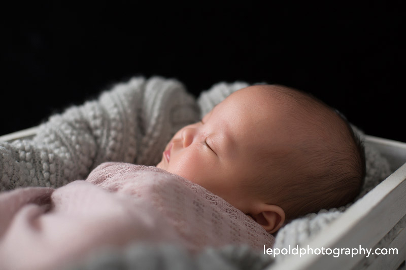 008-nova-newborn-photographer-lepold-photography