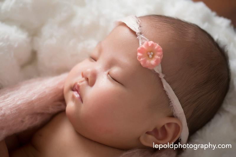 011-nova-newborn-photographer-lepold-photography